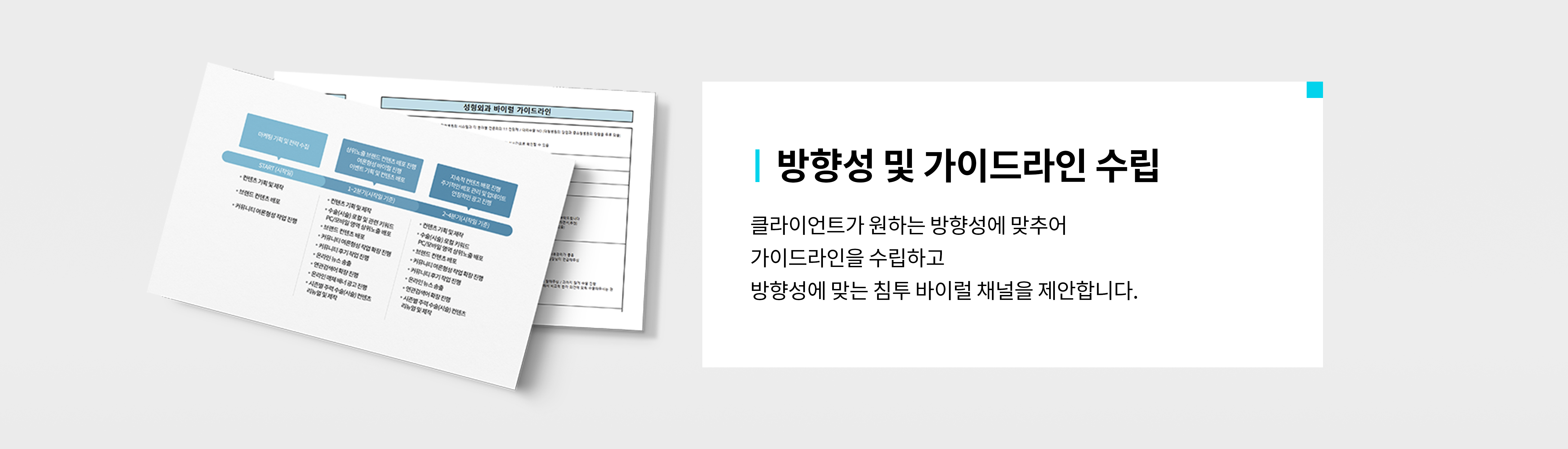 AEDI 바이럴 마케팅