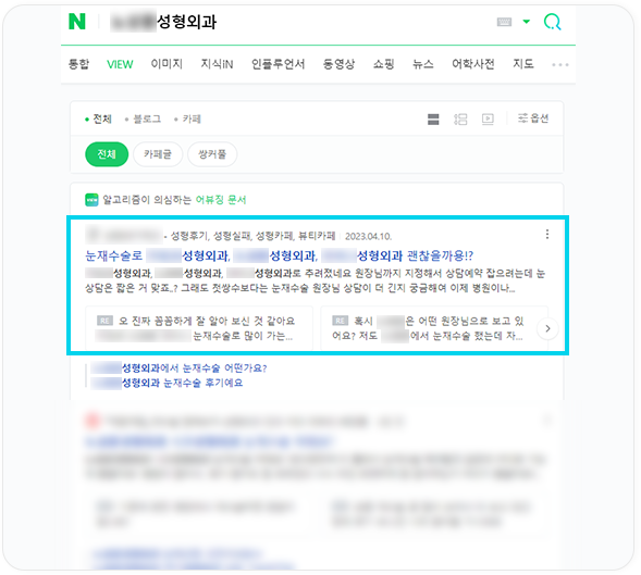 에이디 파트너스 카페 게시글 뷰탭 상위노출 진행 사례 진행01